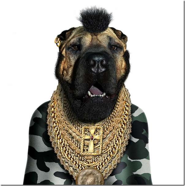 perros 4
