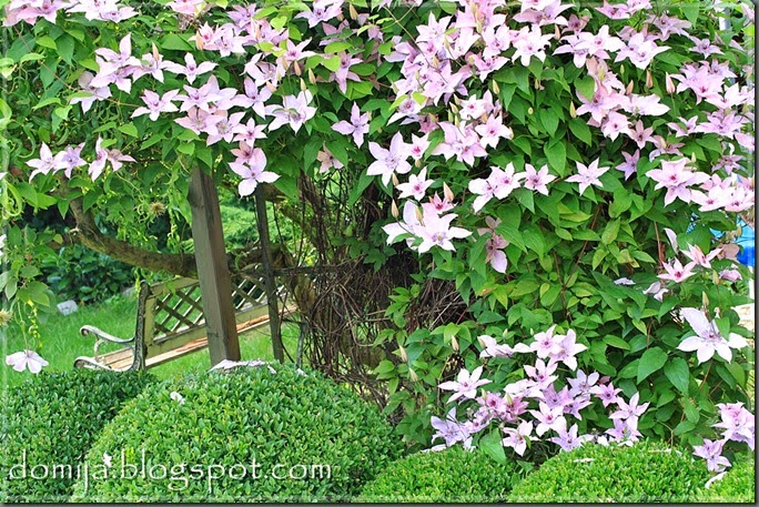 IMG_7091 na blog IMG_7091 na blog