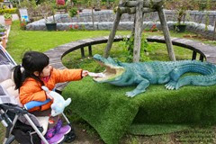 IMG_3524 IMG_3524