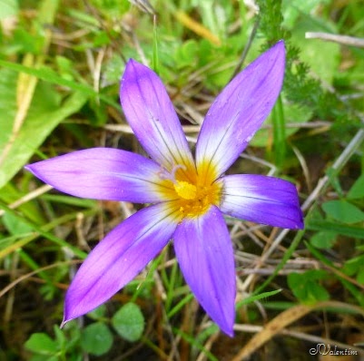 [P1080013%255B5%255D.jpg]