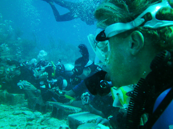 st-martin-diving-sharks.jpg St martin diving sharks