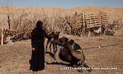 Al Hijla Bedouin Village, Marib