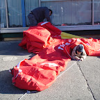DSC04707.JPG