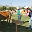 superleite2011_dia1507_130.JPG