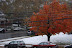 Womens Weekend 2008 - Pittsburgh