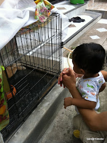 สัปดาห์พร้อมหน้าพู่กันพ่อแม่