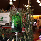 IMG_4471.jpg