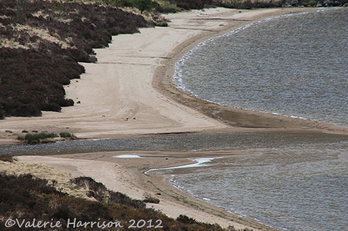 [41-beach%255B2%255D.jpg]