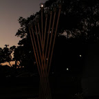 IMG_0351.JPG