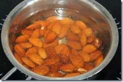 IMG_4560 IMG_4560