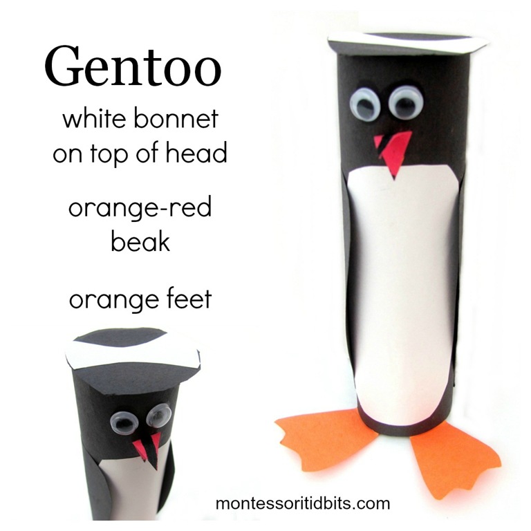 [gentoo%2520correct5%255B4%255D.jpg]