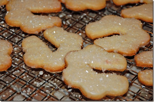 DIpped-Cookies