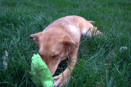 3 Popular Mother's Day Gift Ideas