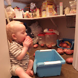 & trying to eat them :)