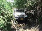 p1246133923(1).jpg