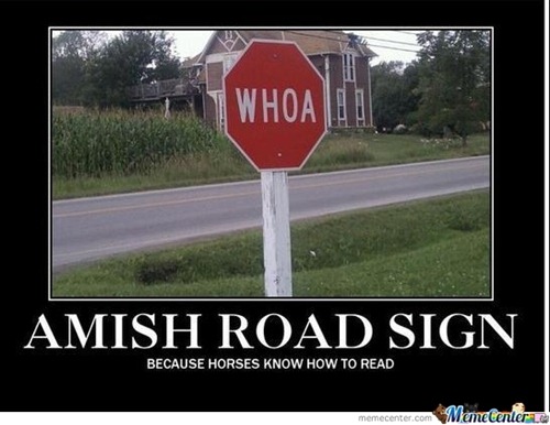 amish-stop-sign
