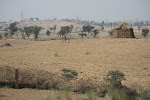 Near Mandawa, India 091.JPG