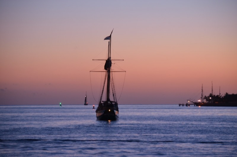 [DSC_8365-800x5303.jpg]