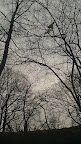 IMAG0335.jpg