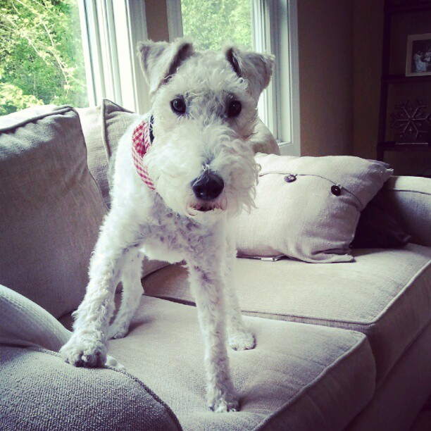 [image%255B20%255D.png]