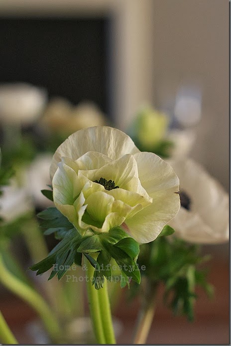 Home & Lifestyle Home & Lifestyle