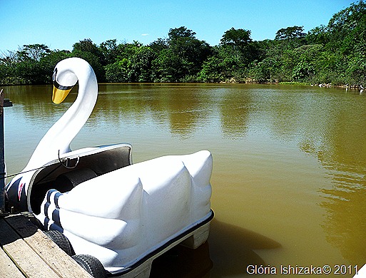 44- Glória Ishizaka - Marília -lago