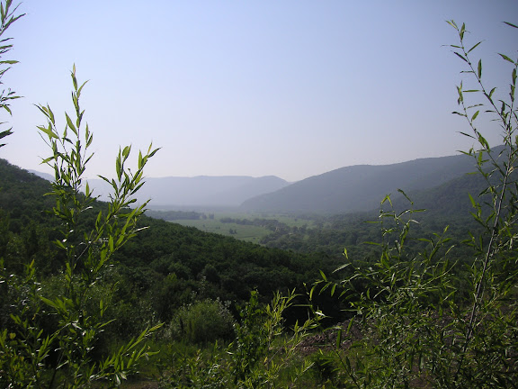 Vallée de la Muraovka près d'Aurovka, au sud d'Anutchino (Primorskij Kraj, Russie), 1er juillet 2011. Photo : Jean Michel