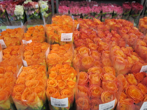 A bright and beautiful selection!