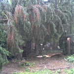 2012-08-06 16.52.51.jpg