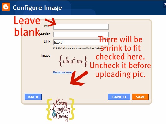 [picture%2520gadget%25202%255B3%255D.jpg]