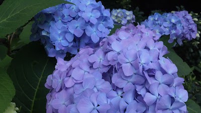 2014-06-05 08.00.09.jpg