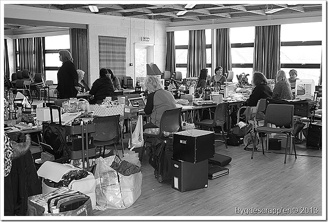 IMG_4081 IMG_4081