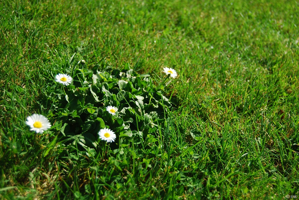[DSC_15297.jpg]
