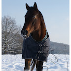 Zima 2010/2011