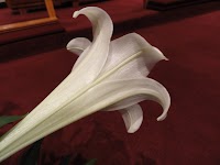DSC03042.JPG