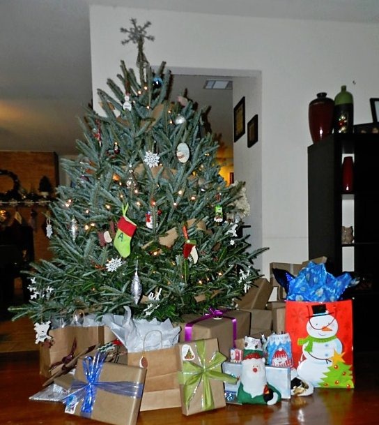 [tree%255B4%255D.jpg]