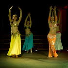 Document Name_3_256.JPG