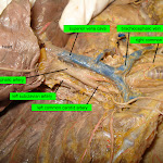 vessels_cat_05L.jpg vessels_cat_05L.jpg