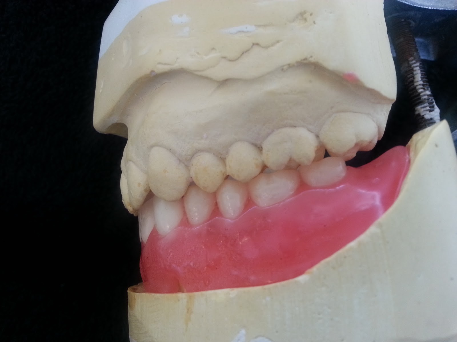 Mrs D's Dental Technology space for student Try in and wax up of a