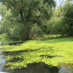 IMG_3496.JPG