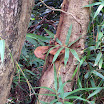 20060819_22_kenting_149.jpg