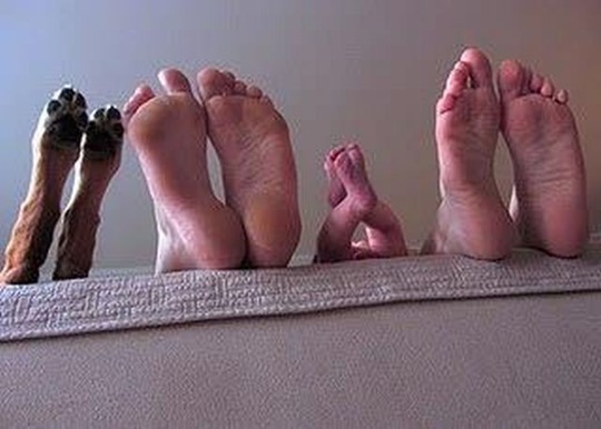 [viral-picdump-pics-8%255B2%255D.jpg]