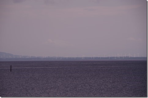 IMGP6975 IMGP6975