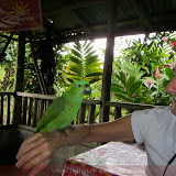 Socializando -  Posada Rio Celeste - Rio Celeste - Costa Rica