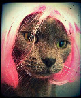 Purring and Pink! Purring and Pink!