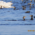 IMG_3788.JPG