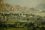 Pinar del Rio - Paisaje de niebla