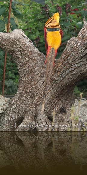 IMG_3560 IMG_3560