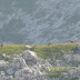 2011.08.18.-19. - Spodnje bohinjske gore