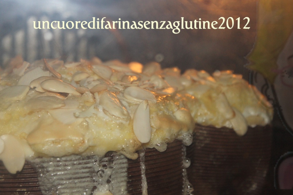 [colomba%2520a%2520biga%25203%255B3%255D.jpg]